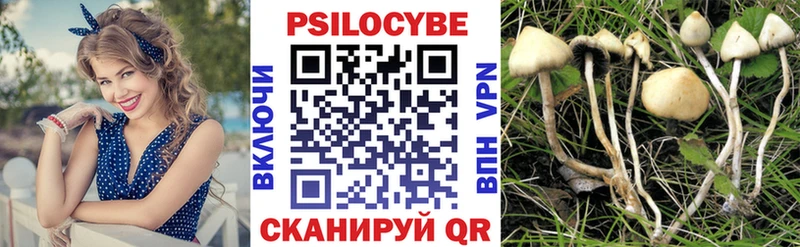 Псилоцибиновые грибы мухоморы  Купить где  Новая Усмань 